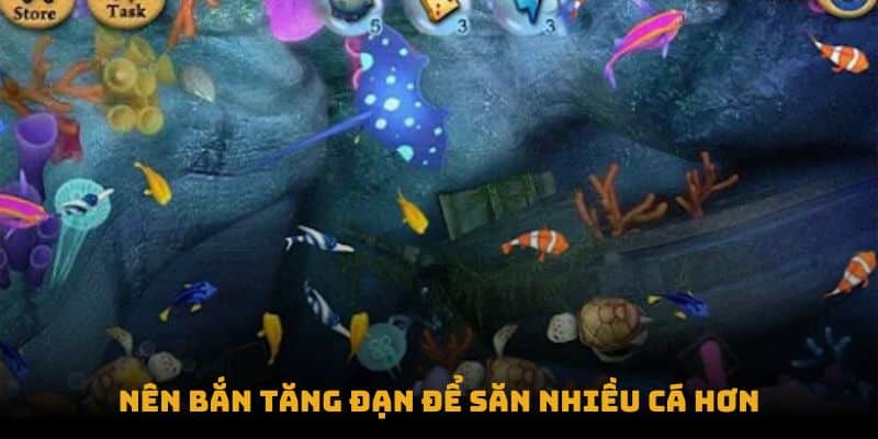 Nên bắn tăng đạn để săn nhiều cá hơn