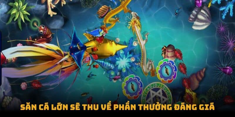 Săn cá lớn sẽ thu về phần thưởng đáng giá