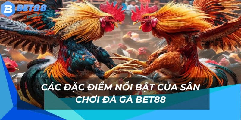 Đá Gà Bet88 - Sân Chơi Đá Gà Đầy Kịch Tính Và Thưởng Lớn 1 Địa điểm cược đá gà cực hot hiện nay