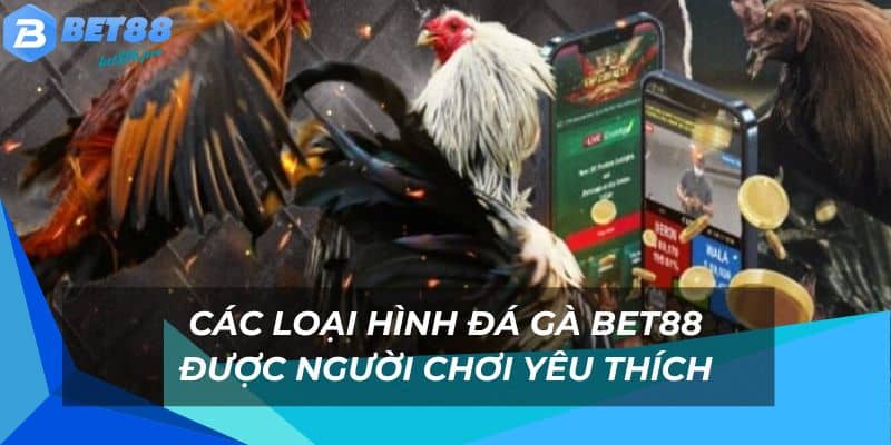 Đá Gà Bet88 - Sân Chơi Đá Gà Đầy Kịch Tính Và Thưởng Lớn 2 Đa dạng loại hình cược đá gà Bet88