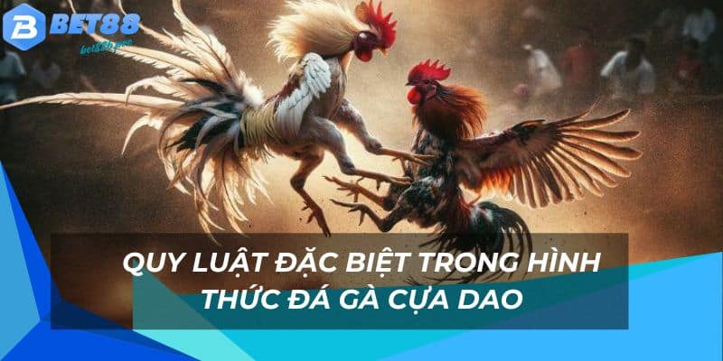 Những quy luật phổ biến trong đá gà cựa dao