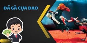 Đá Gà Cựa Dao - Trải Nghiệm Cược Gà Hot Nhất Tại Bet88