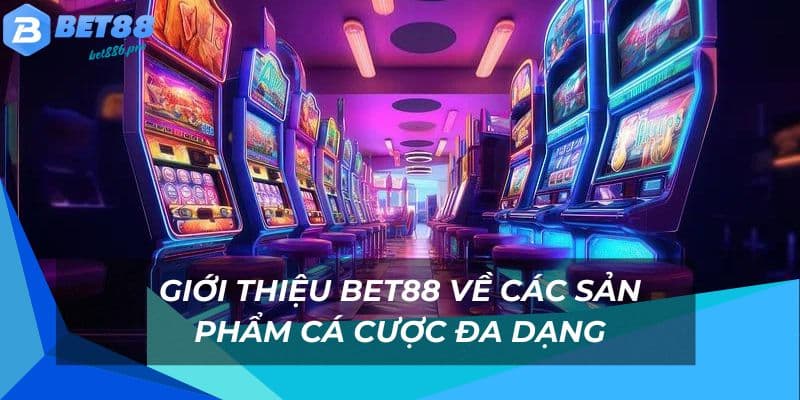 Các sản phẩm cá cược đa dạng tại nhà cái