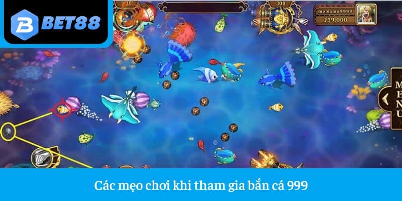Bắn Cá 999 - Review Tất Tần Tật Sảnh Game Hot Hit 2024 3 Các mẹo chơi khi tham gia bắn cá 999