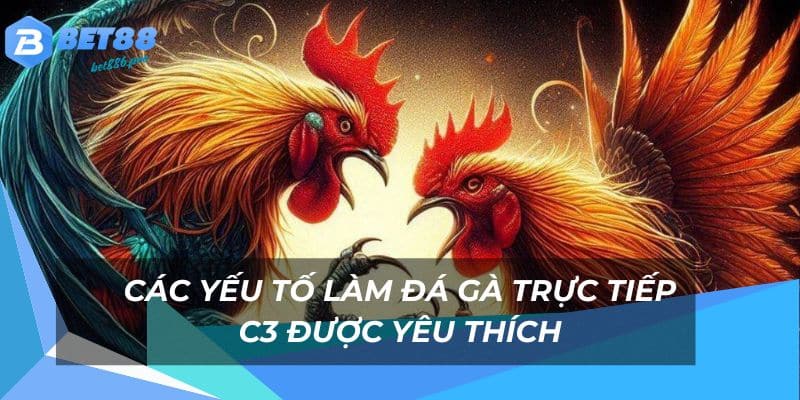 Đá Gà Trực Tiếp C3 - Thế Giới Đá Gà Trực Tuyến Hot Bet88 3 Những yếu tố tạo nên sự kịch tính đá gà c3